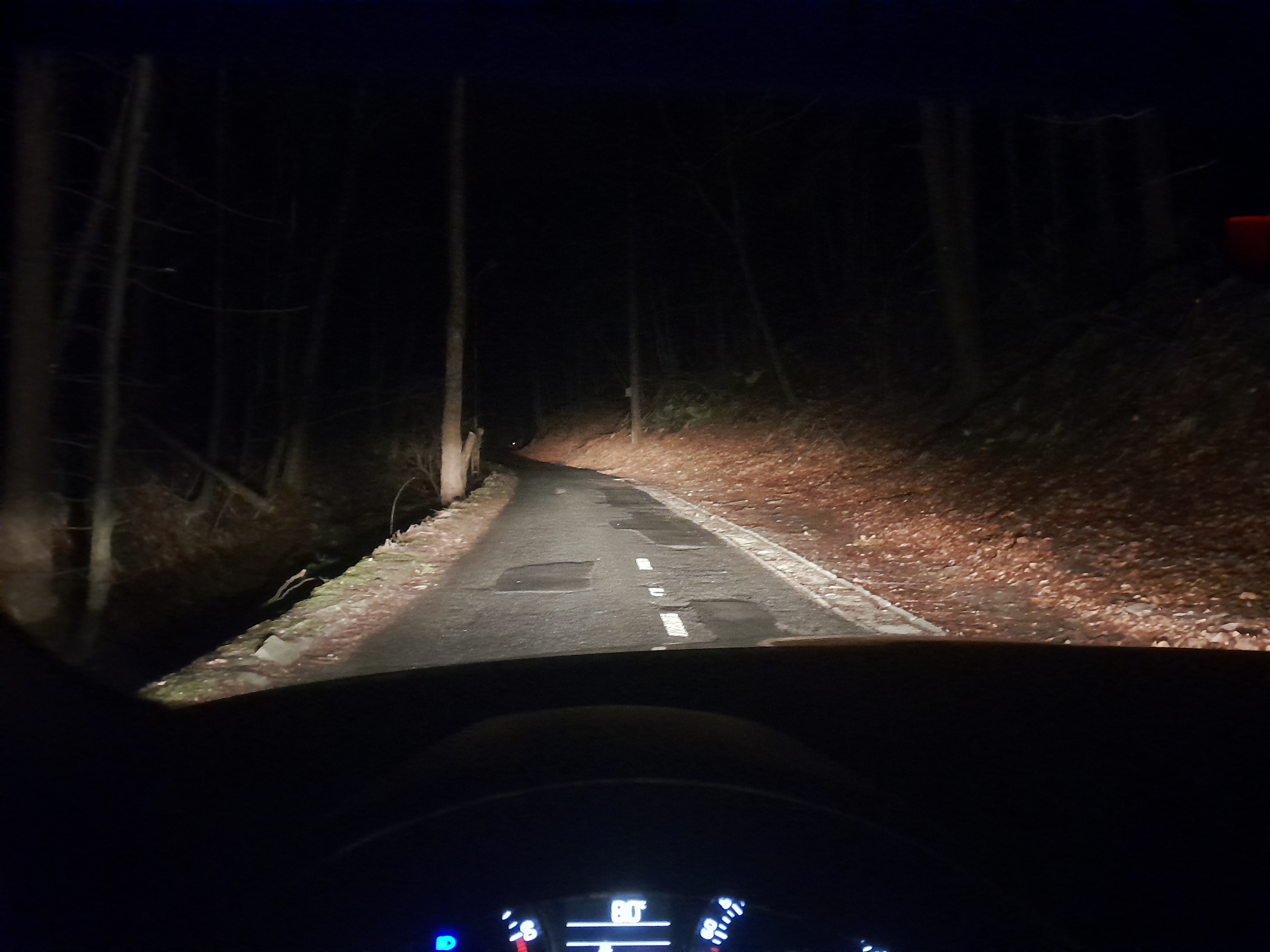 Próbne zdjęcie testowe 2023